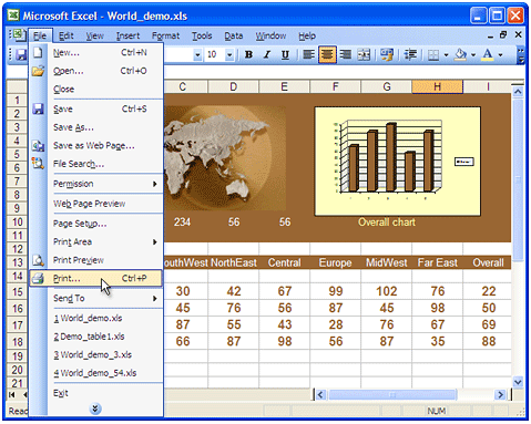 Open Excel file (*.xls) in Microsoft Excel and press File-Print... in the application main menu.