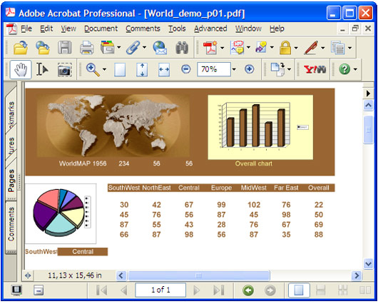 The converted spreadsheet in Adobe Acrobat.