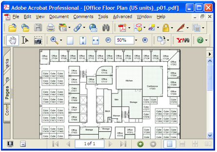 Converted document in Adobe Acrobat.